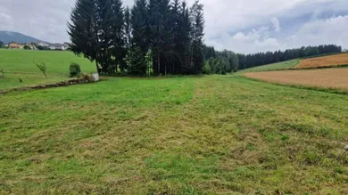  قطعة أرض في Rohrbach an der Lafnitz, Austria 1128متر مربع رقم 230930