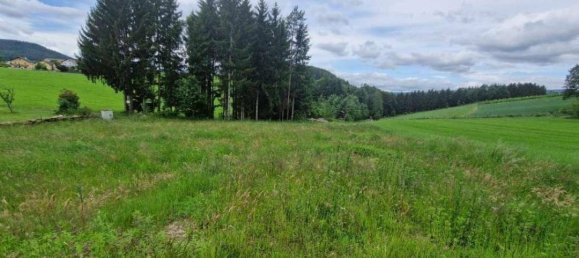  قطعة أرض في Rohrbach an der Lafnitz, Austria 1128متر مربع رقم 230930 3