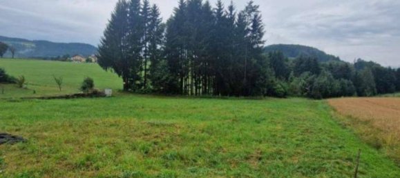  قطعة أرض في Rohrbach an der Lafnitz, Austria 1128متر مربع رقم 230930 5