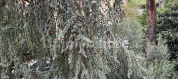 3 bedrooms Apartment in Rome, Italy No. 320180 37