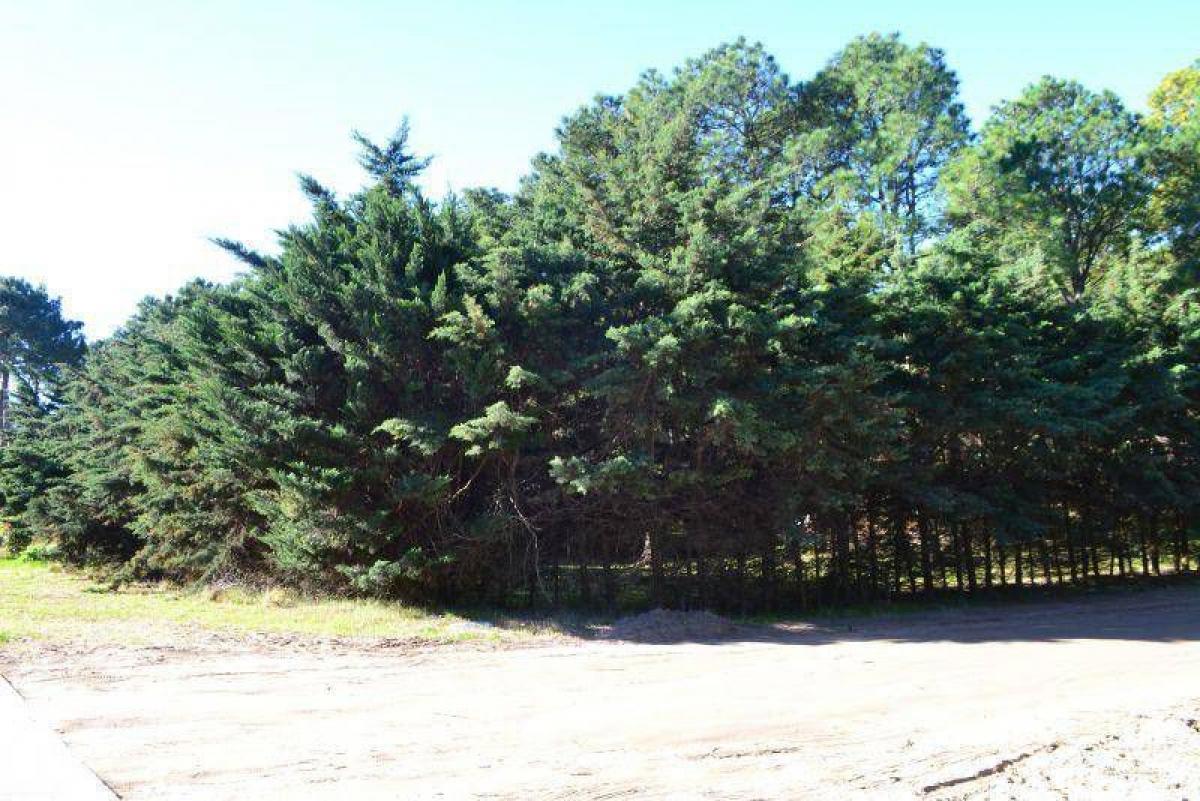  Land in Mar del Plata, Argentina No. 112859