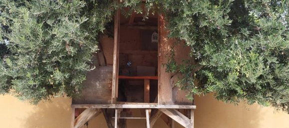 4 chambres Villa à San Vicente del Raspeig, Spain No. 104668 13