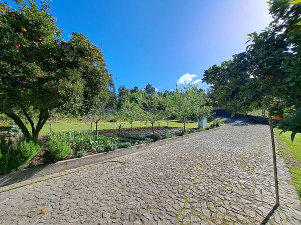 6 غرف نوم منزل في Caminha, Portugal رقم 95806