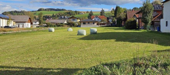 Terrain à Nussbach, Austria No. 143486 10
