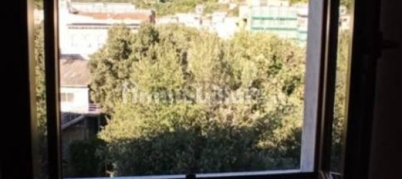 169m² Office in Carrara, Italy No. 165402 9