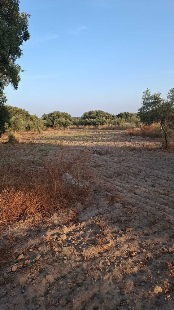  Land in Torrao, Portugal No. 252604