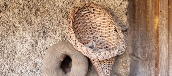 3 Schlafzimmer Haus in Carvalho, Portugal, Nr. 80385 13