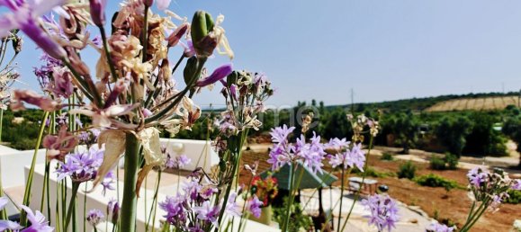 Дом с 5 спальнями в Мешильоейра Гранде, Португалия № 70178 36