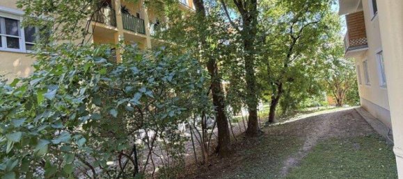 3-salle Appartement à Baden, Austria No. 219525 18