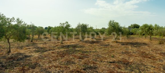  Land in Carlentini, Italy No. 316935 15