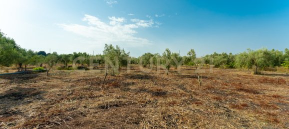  Land in Carlentini, Italy No. 316935 9