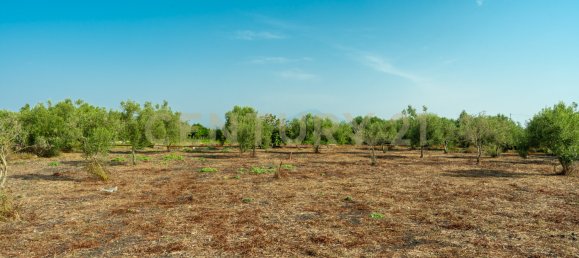  Land in Carlentini, Italy No. 316935 14