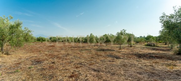  Land in Carlentini, Italy No. 316935 8