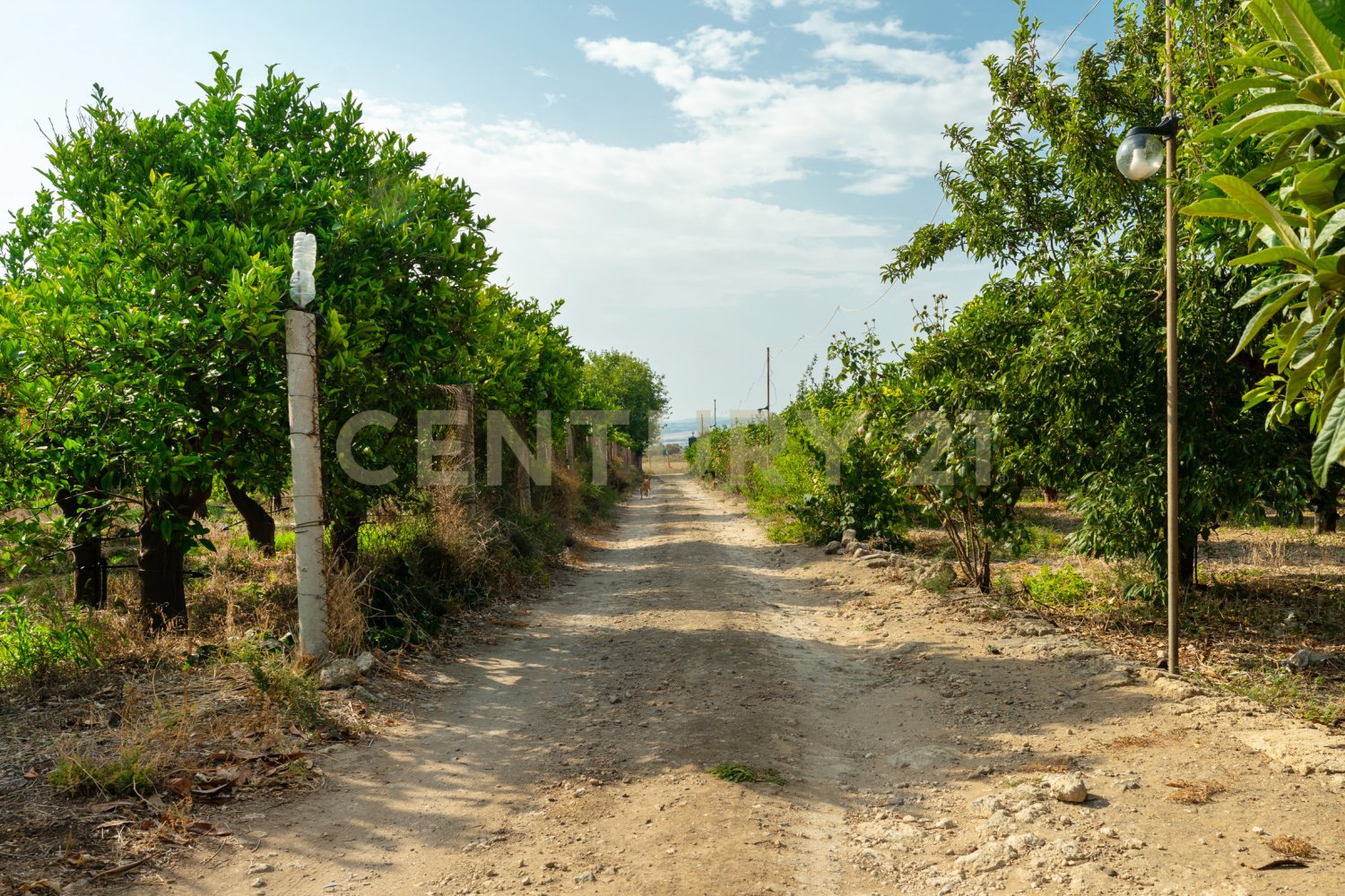 Land in Carlentini, Italy No. 316935