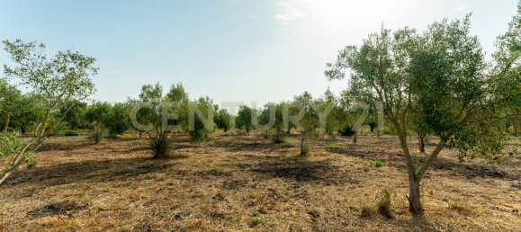  Land in Carlentini, Italy No. 316935 13