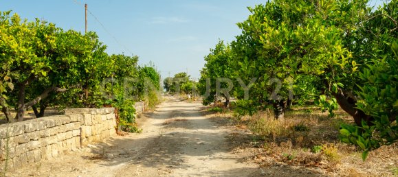  Land in Carlentini, Italy No. 316935 2