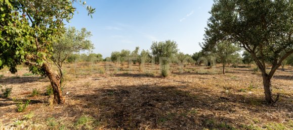  Land in Carlentini, Italy No. 316935 5