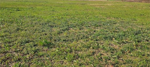 44894m² Land in Traversetolo, Italy No. 81762 4