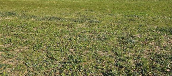 44894m² Land in Traversetolo, Italy No. 81762 3