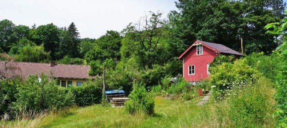Terrain à Penzing, Austria No. 21199 4
