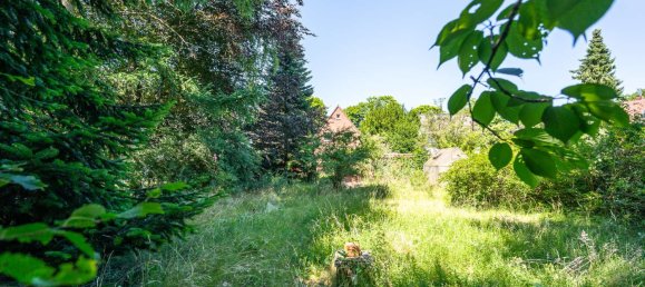 Casa T2 em Wandsbek, Germany N.º 315548 29