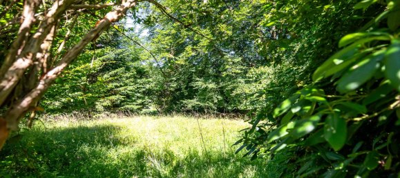 Casa T2 em Wandsbek, Germany N.º 315548 28