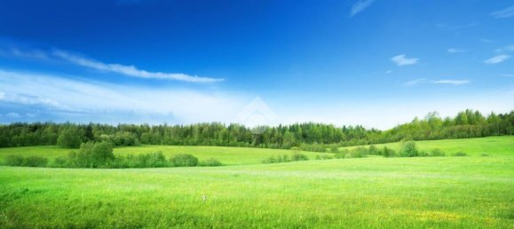 1080m² Land in Riese Pio X, Italy No. 2888 3