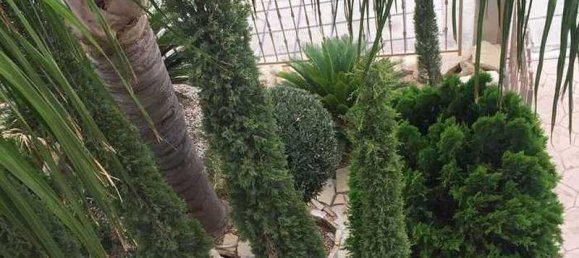 3 bedrooms House in Agios Athanasios, Cyprus No. 6643 6