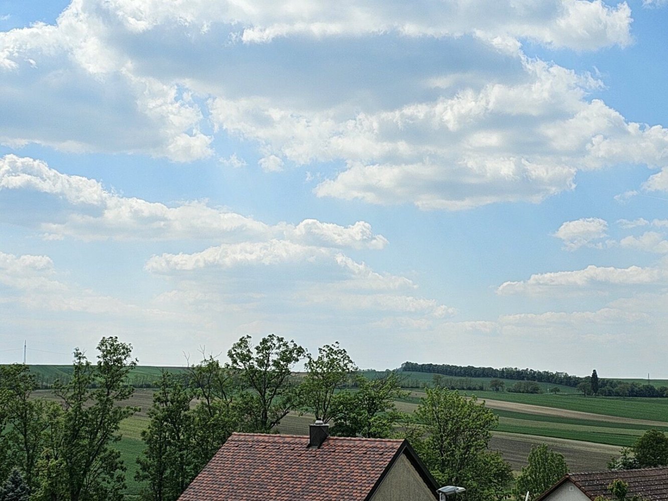 Terrain à Mistelbach, Austria No. 138001