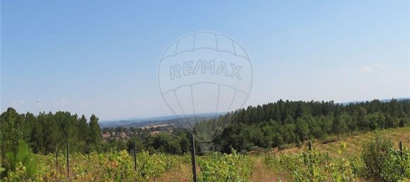 Дом с 1 спальней в Фундан, Португалия № 82886 9