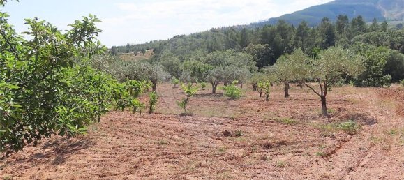 Дом с 1 спальней в Фундан, Португалия № 82886 34