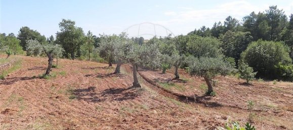 Дом с 1 спальней в Фундан, Португалия № 82886 37