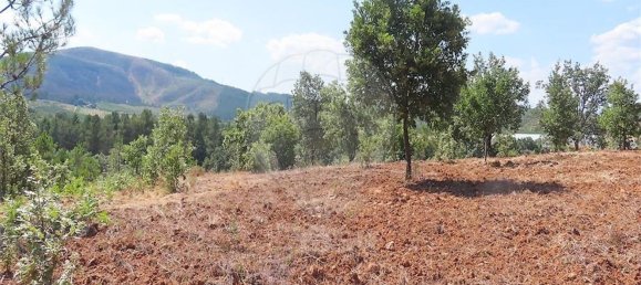 Дом с 1 спальней в Фундан, Португалия № 82886 16