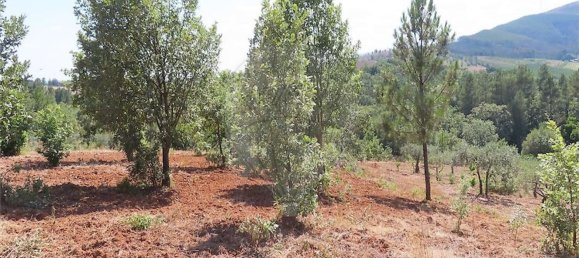 Дом с 1 спальней в Фундан, Португалия № 82886 50