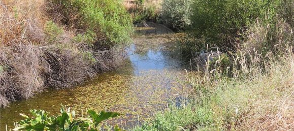 Дом с 1 спальней в Фундан, Португалия № 82886 46