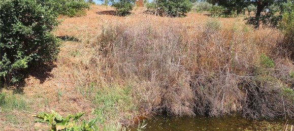 Дом с 1 спальней в Фундан, Португалия № 82886 45