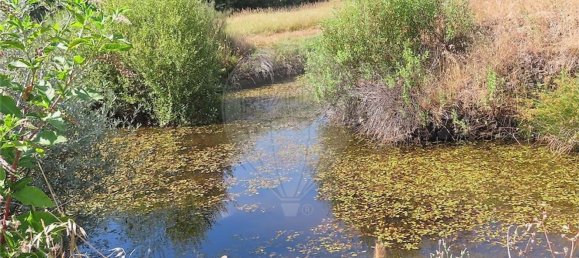 Дом с 1 спальней в Фундан, Португалия № 82886 40