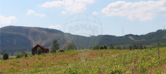 Дом с 1 спальней в Фундан, Португалия № 82886 15