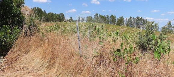 Дом с 1 спальней в Фундан, Португалия № 82886 17