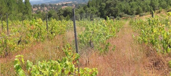 Дом с 1 спальней в Фундан, Португалия № 82886 5