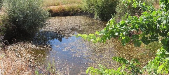 Дом с 1 спальней в Фундан, Португалия № 82886 39