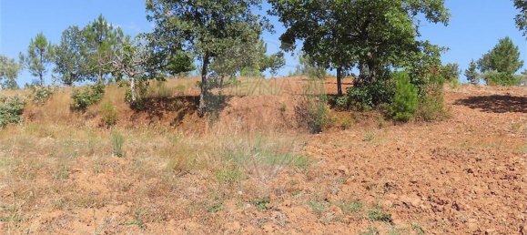 Дом с 1 спальней в Фундан, Португалия № 82886 47