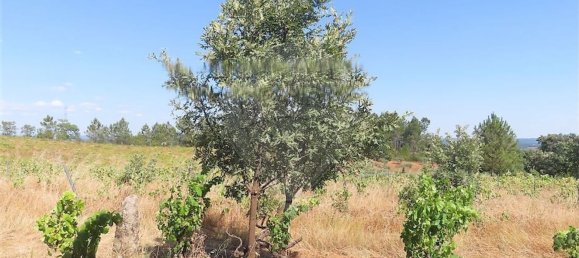 Дом с 1 спальней в Фундан, Португалия № 82886 30