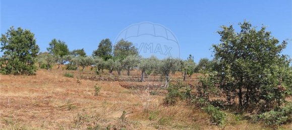 Дом с 1 спальней в Фундан, Португалия № 82886 41