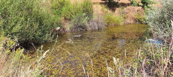 Дом с 1 спальней в Фундан, Португалия № 82886 43