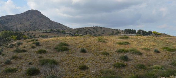 5 bedrooms Commercial property in Legrena, Greece No. 6914 13