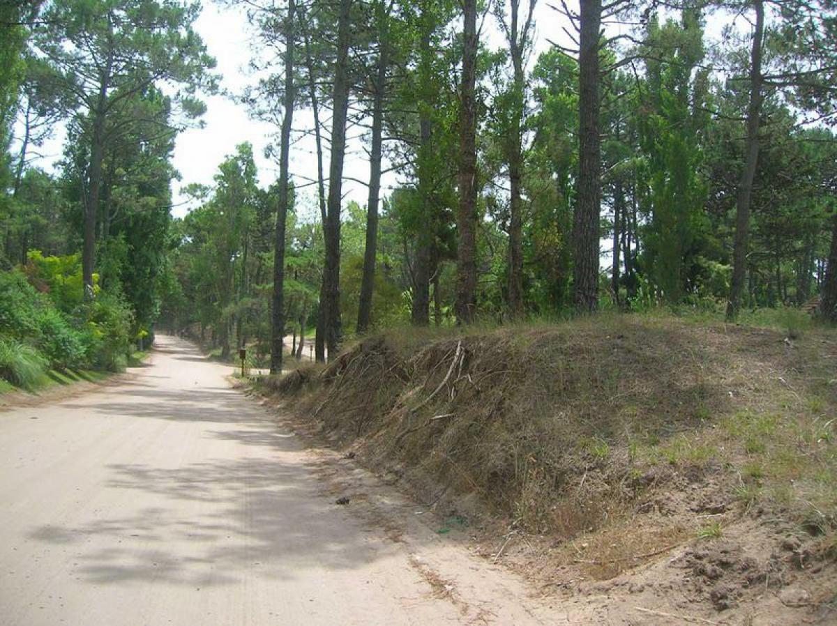 Земельный участок в Мар-дель-Плата, Аргентина № 114735