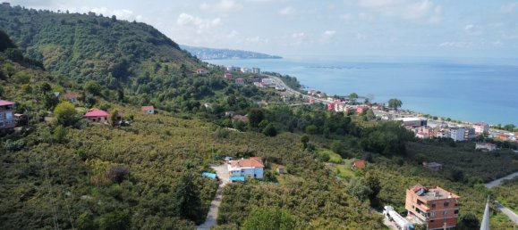 Apartment 3+1 in Arsin, Turkey No. 40321 21