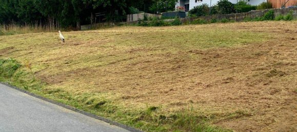 794m² Land in Hitzendorf, Austria No. 206019 2