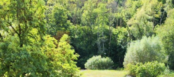 3 Schlafzimmer Stadthaus in Rheinland-Pfalz, Germany, Nr. 290898 18